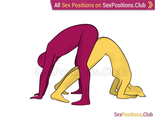Sex position #279 - Russian roulette. (doggy style, from behind, rear entry, reverse, standing). Kamasutra - Photo, picture, image